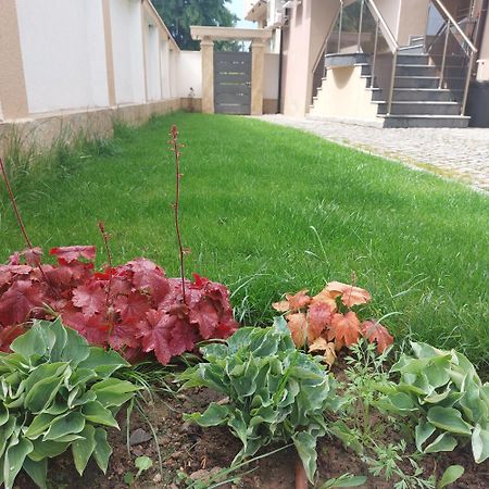 Stella Guesthouse Сапарева Баня Екстериор снимка