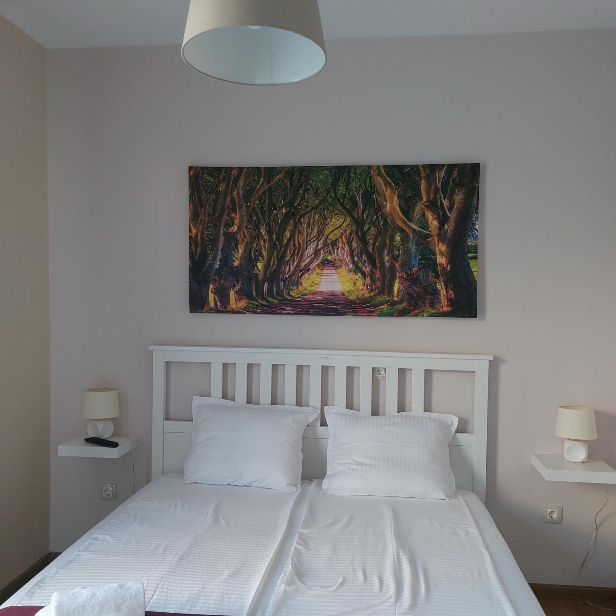 Stella Guesthouse Сапарева Баня Стая снимка